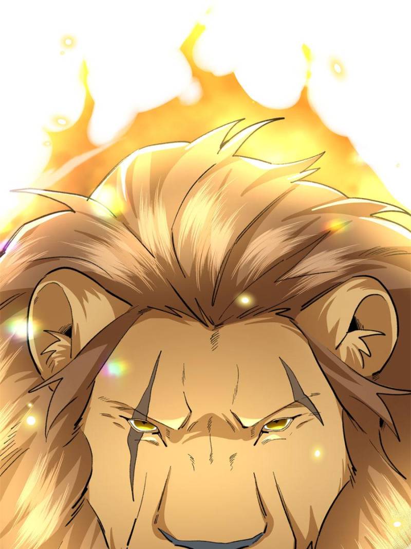 81494786 800 1067 83295